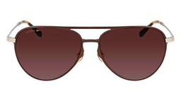 Lacoste L243SE Gafas, Brown, Taille Unique para Hombre