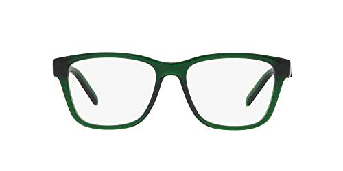 ARNETTE 0AN7229 55 2833 Gafas de Sol, Hombres, Multicolor