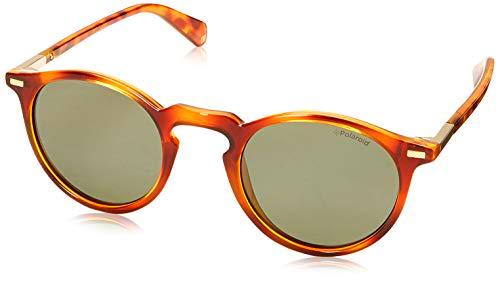 Polaroid PLD 2086/S gafas de sol, DKHAVANA, 47 para Hombre