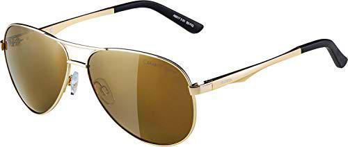 ALPINA A107 Sunglasses, Hombre, Negro y Dorado-Dorado, One Size